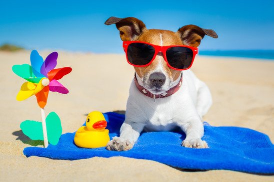 First Day of Summer and How To Protect Tech and Mobile Devices from Damage