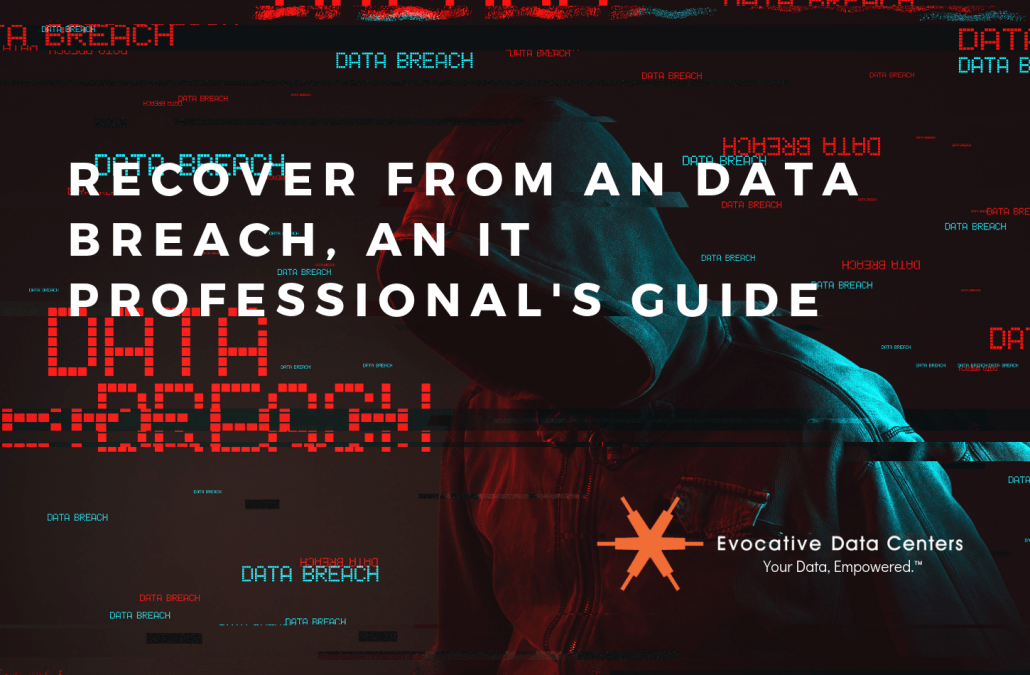 data breach IT Professionals Guide
